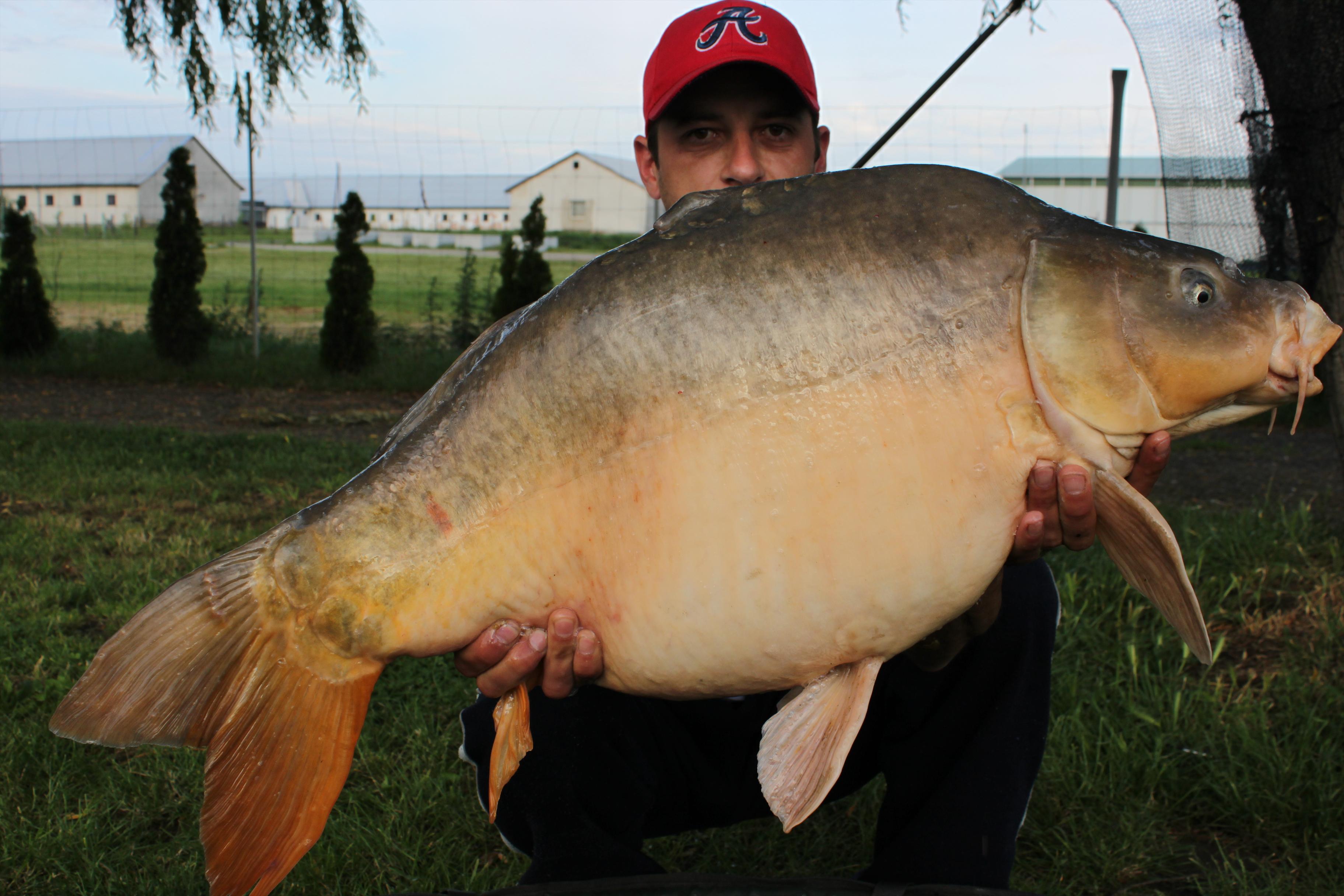 Capturi 2012 - IMG_0895.JPG